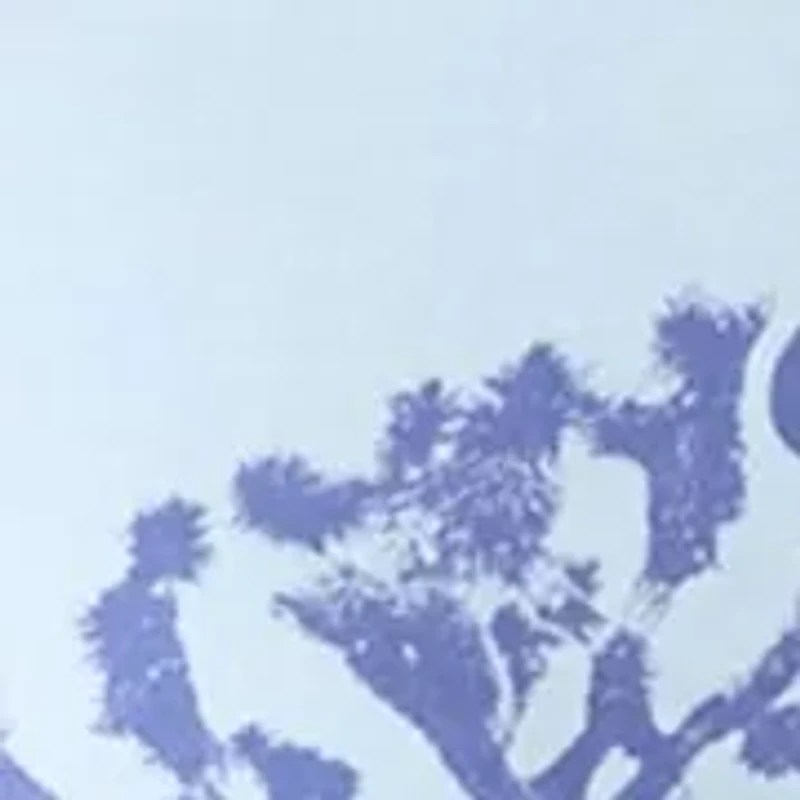 Women's Joshua Tree Graphic T-Shirt