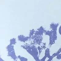 Women's Joshua Tree Graphic T-Shirt