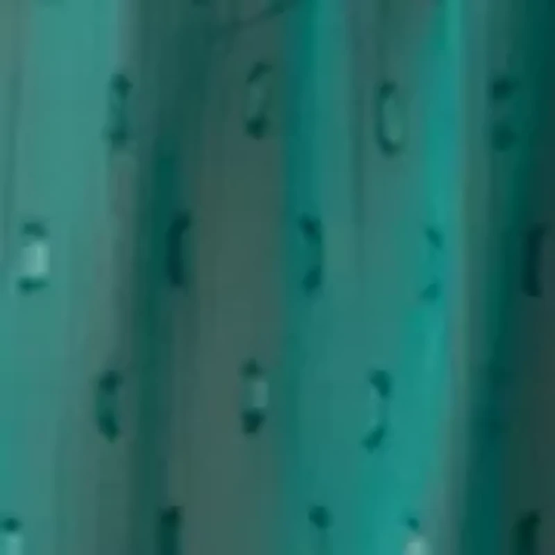 Women's V-Neck Poet Sleeve Blouse