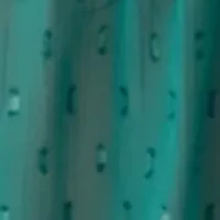 Women's V-Neck Poet Sleeve Blouse