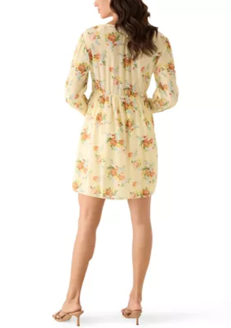Women's Long Sleeve V-Neck Dress