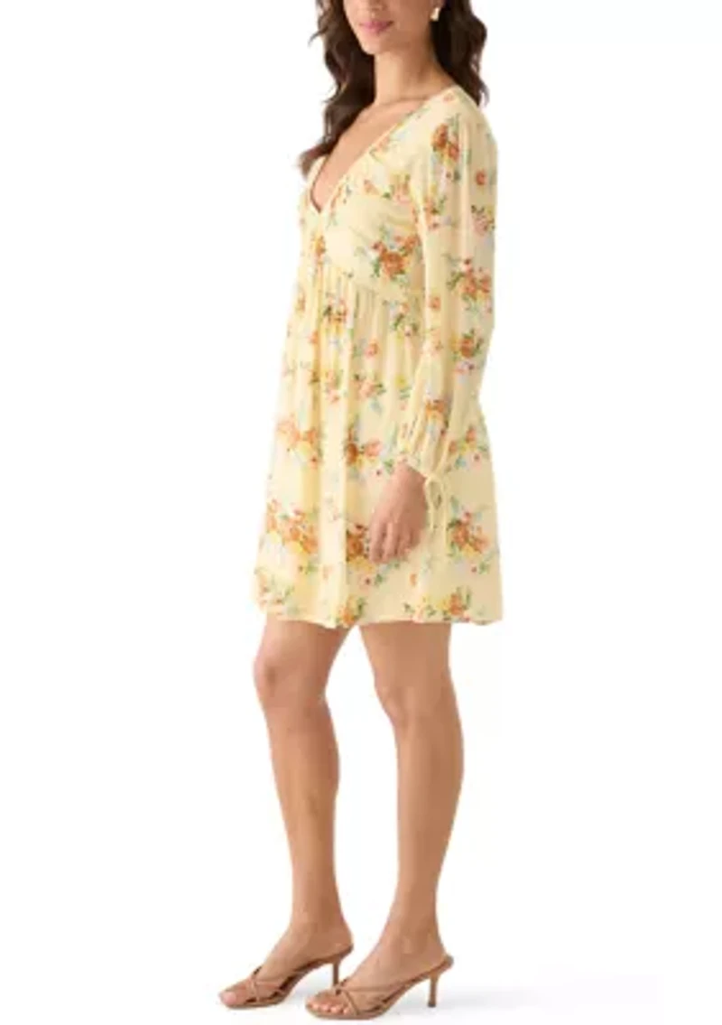 Women's Long Sleeve V-Neck Dress