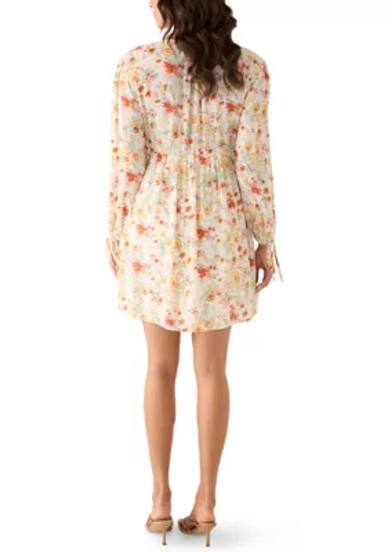 Women's Long Sleeve V-Neck Dress