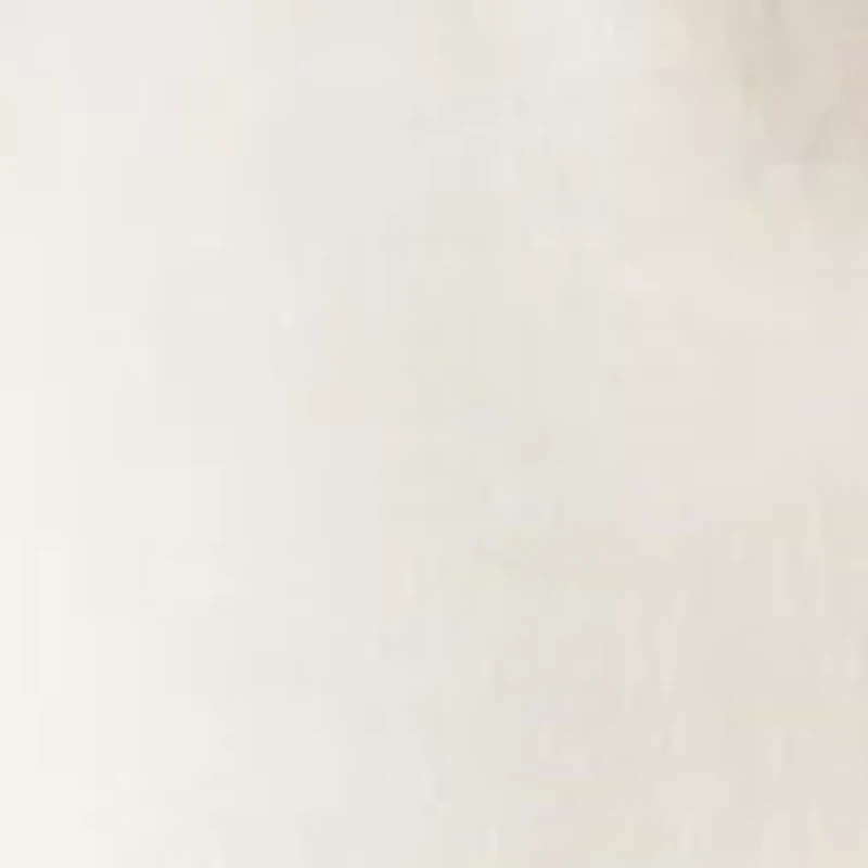 Women's Solid Button Down Shirt