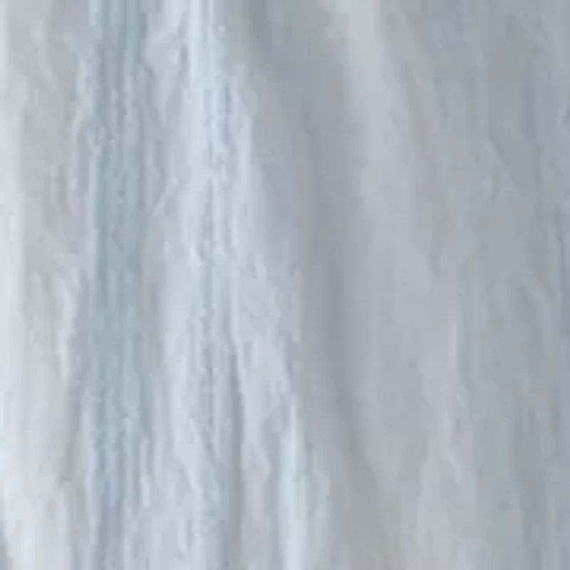 Women's V-Neck Flutter Sleeve Ruffle Hem Top