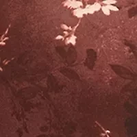 Plus V-Neck Flutter Sleeve Tie Front Top