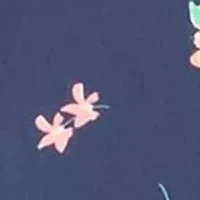 Plus Floral Rain Placement Print Tankini Swim Top