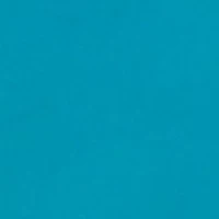 Plus Emma Swim Skort