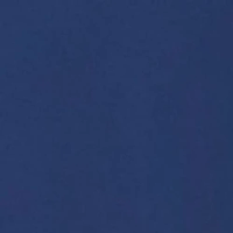 Plus Emma Swim Skort