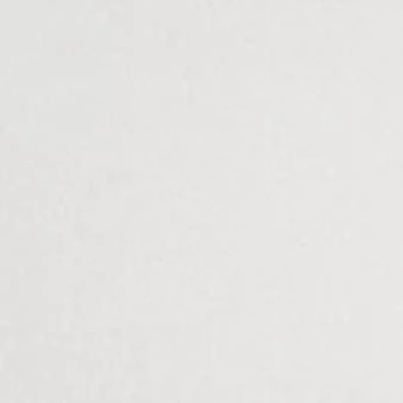 Petite Scallop Neck T-Shirt