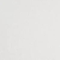 Petite Scallop Neck T-Shirt