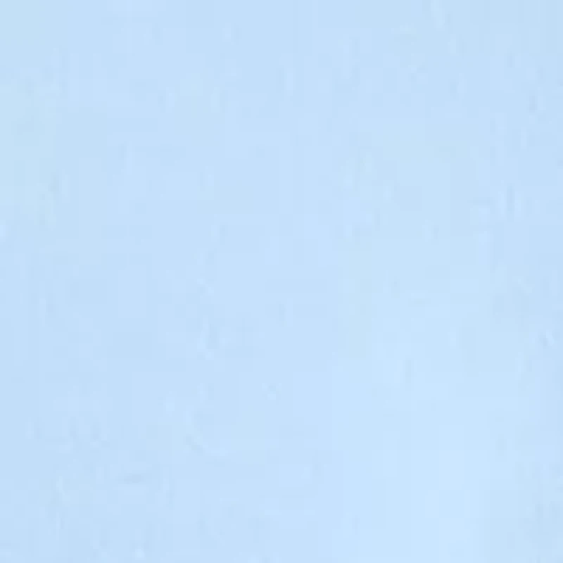 Petite Scallop Neck T-Shirt