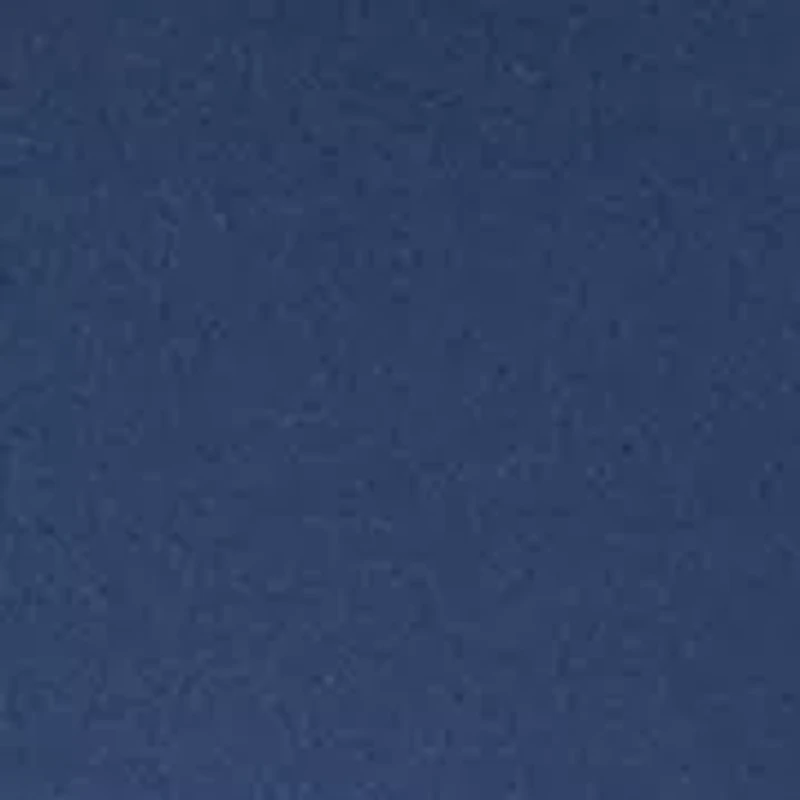 Petite Cap Sleeve Scallop Neck Top