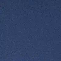 Petite Cap Sleeve Scallop Neck Top