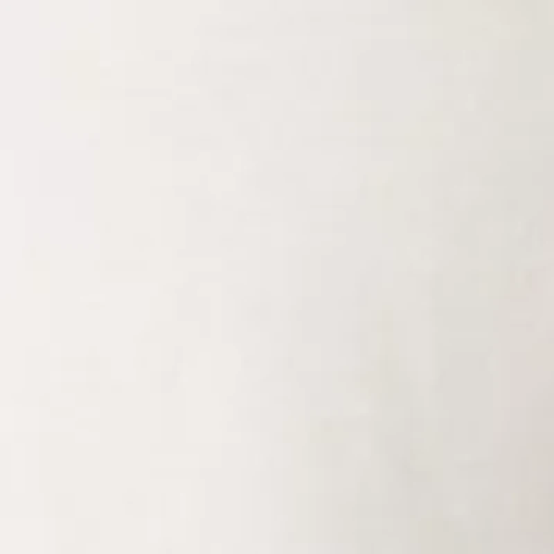 Plus Short Sleeve Split Neck with Scallop Lace Trim Top