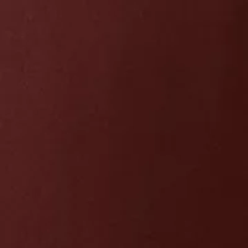 Women's Balloon Sleeve Button Down Blouse