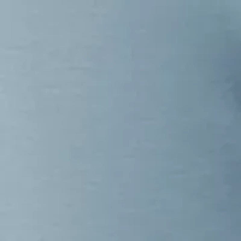 Petite Pull On Wide Leg Pants