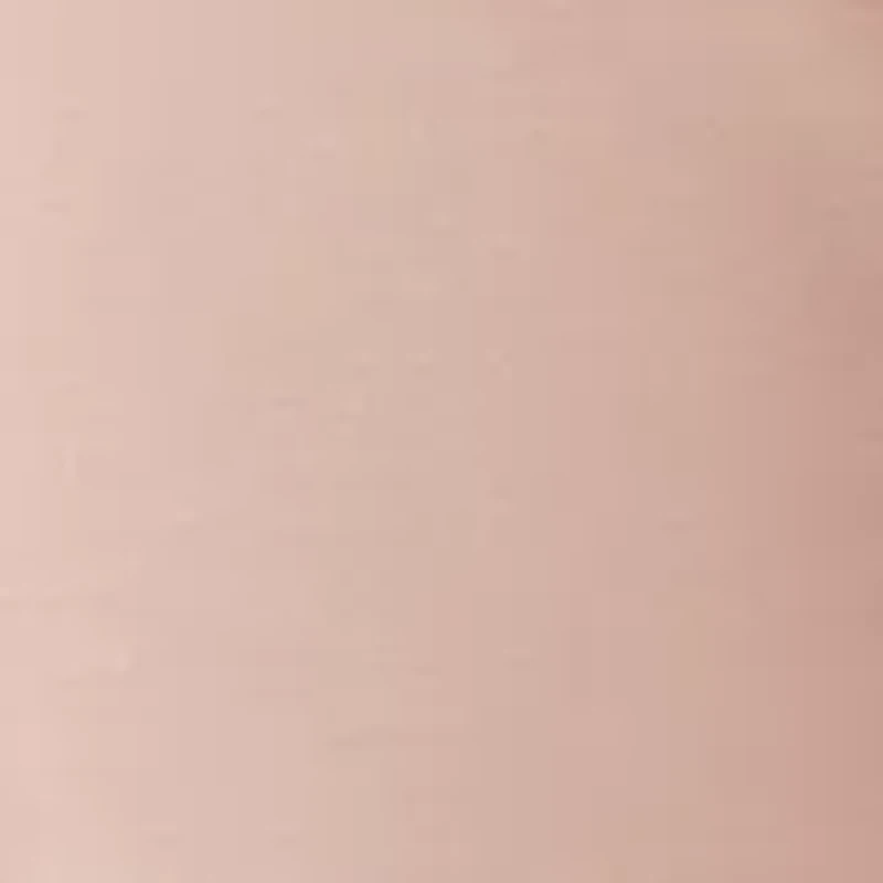 Petite Pull On Wide Leg Pants