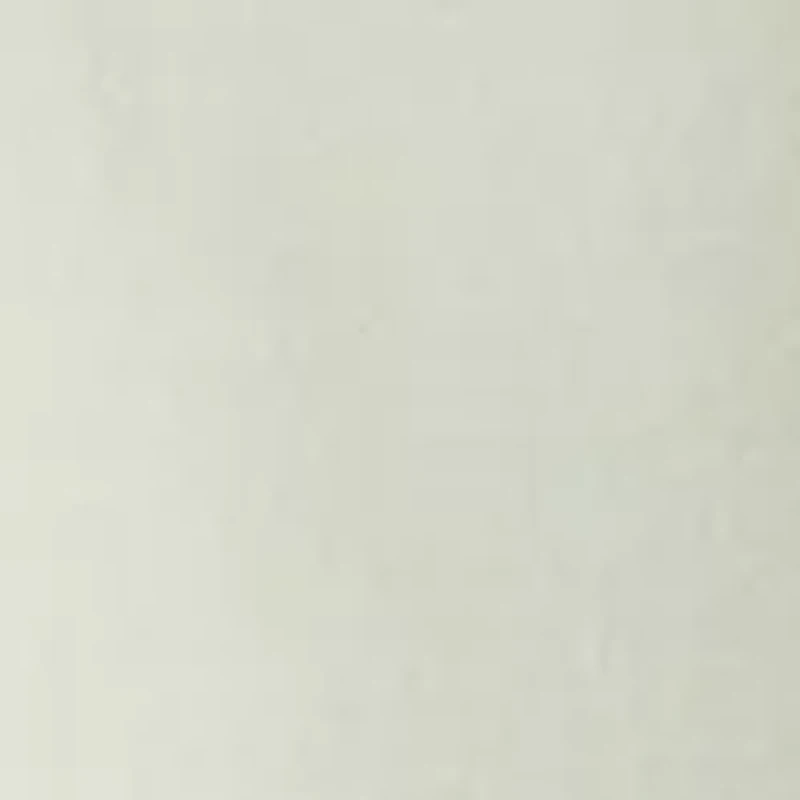 Petite Pull On Tie Waist Jogger Pants