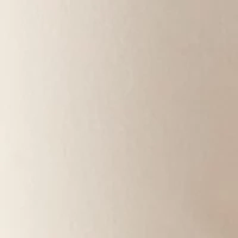 Petite Button Front Utility Ankle Slit Pants
