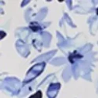 Plus Short Sleeve Button Back Woven Blouse