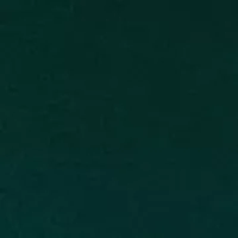 Petite Long Sleeve Crew Neck Sweater with Trim