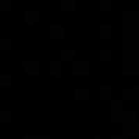 Women's 2 Button Fur Jacket