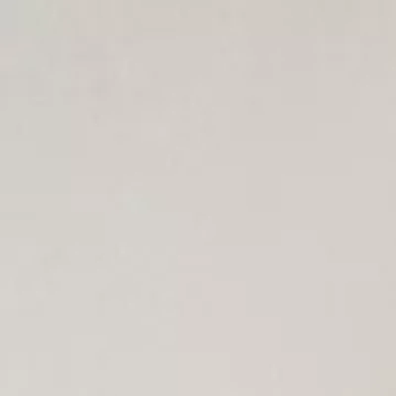 Women's Long Sleeve Lace Detail Crew Neck Sweatshirt