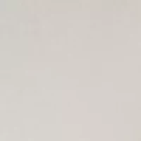 Women's Long Sleeve Lace Detail Crew Neck Sweatshirt