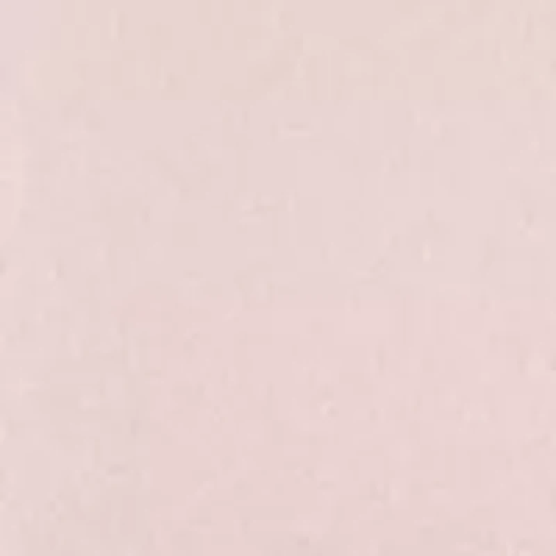 Women's Short Sleeve Lace Detail Crew Neck Top