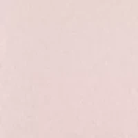 Women's Short Sleeve Lace Detail Crew Neck Top