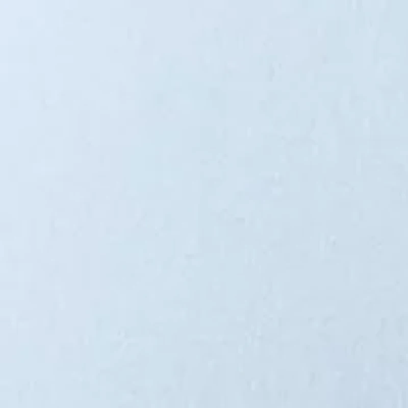 Women's Wide Leg Lace Detail Front Pants