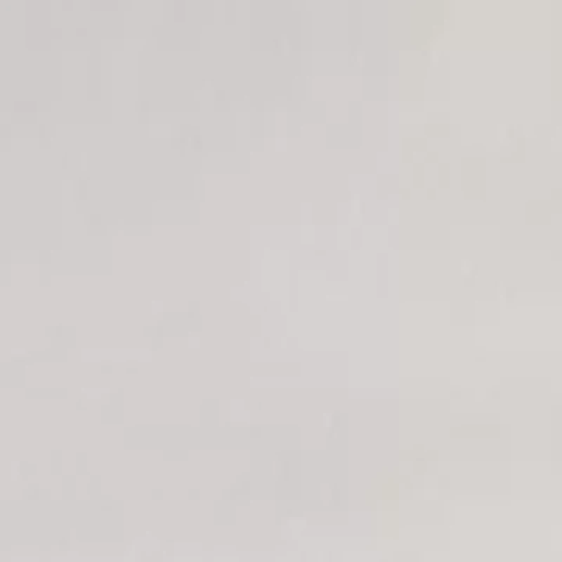 Women's Wide Leg Lace Detail Front Pants