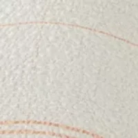 Plus Roll Tab Plaid Button Down Top