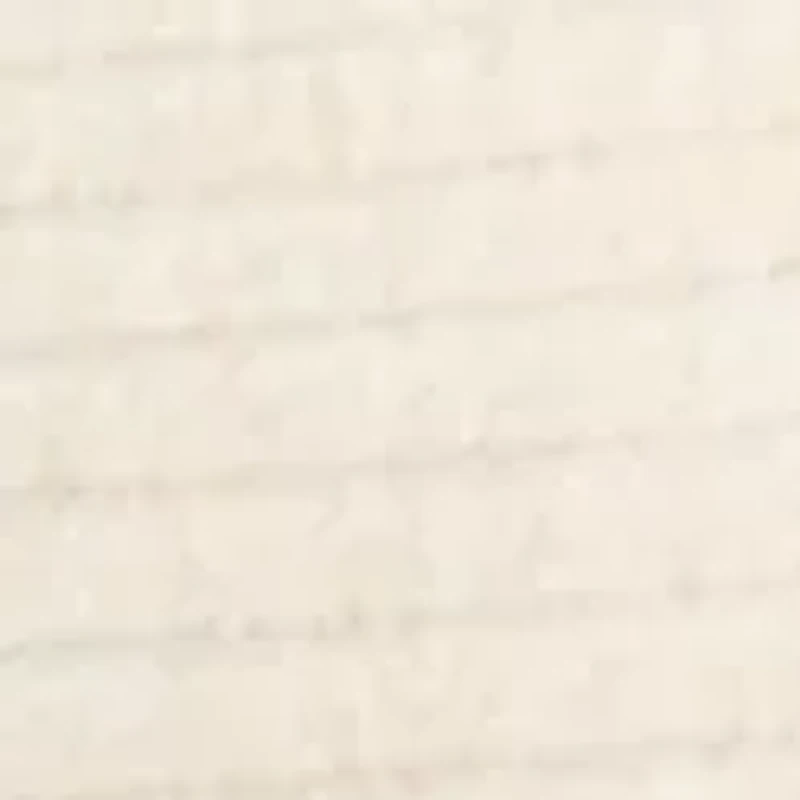 Plus Long Drop Shoulder Sleeve Crew Neck Top