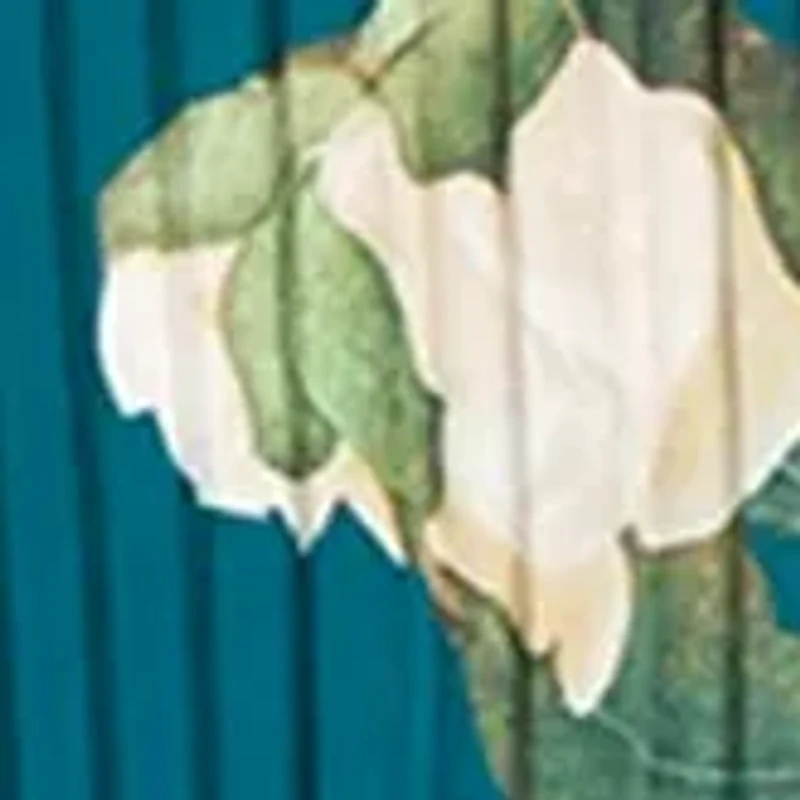 Petite Long Sleeve Split Neck Pleated Blouse