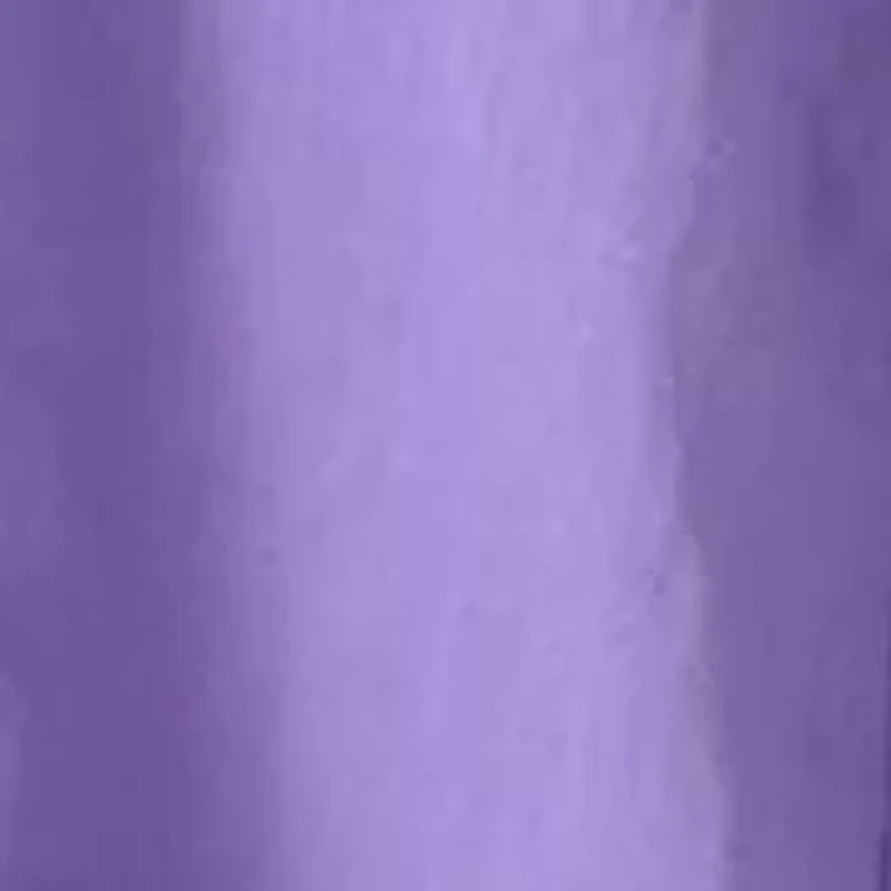 Women's Sleeveless Crochet Trim Blouse