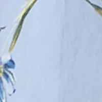 Plus Pintuck Peasant Woven Shirt