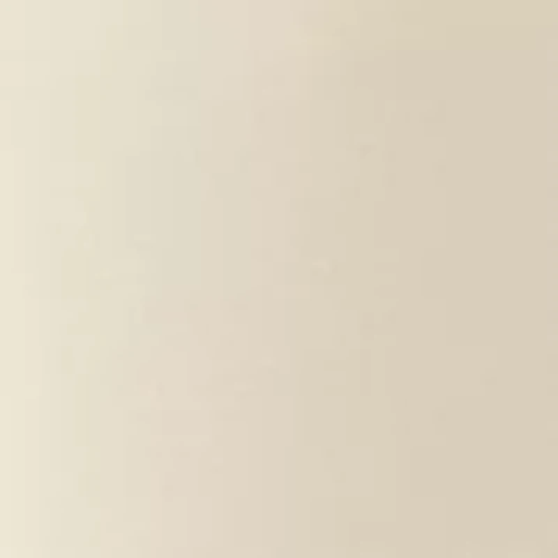 Petite Wide Leg Scuba Pants