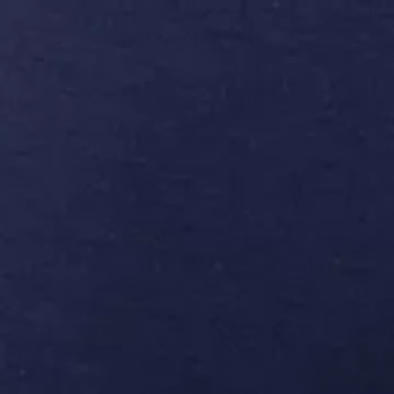 Petite Wide Leg Scuba Pants