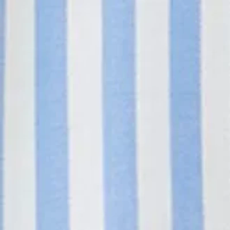 Petite Cap Sleeve V-Neck Blouse