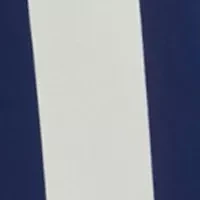 Petite Long Sleeve Collar Button Down Shirt