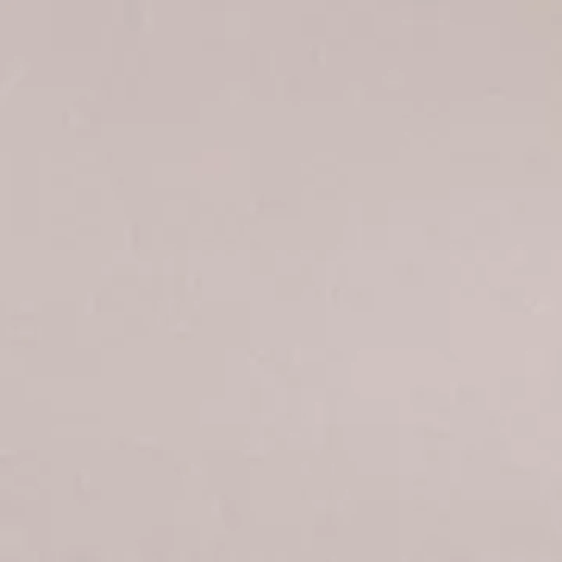 Women's Cut and Sew Top