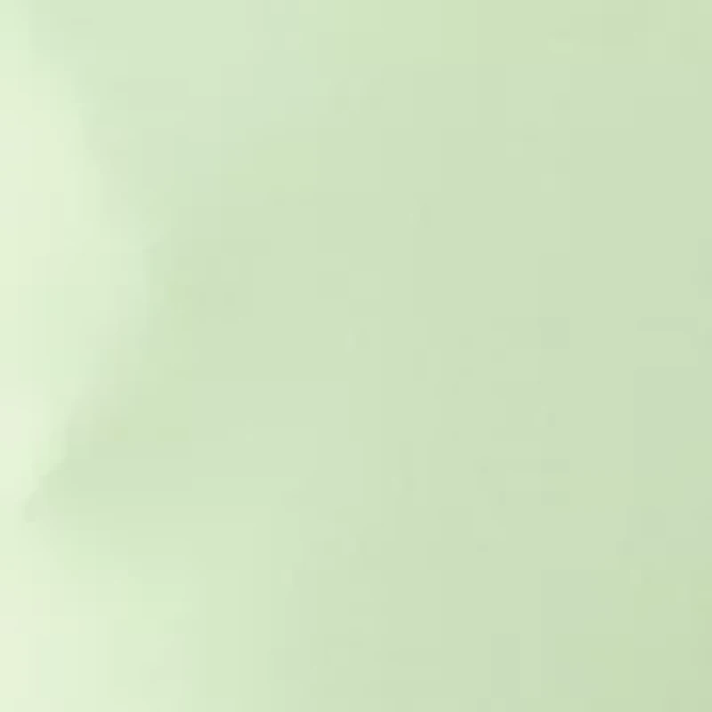 Women's Floral Trim Scuba Pants