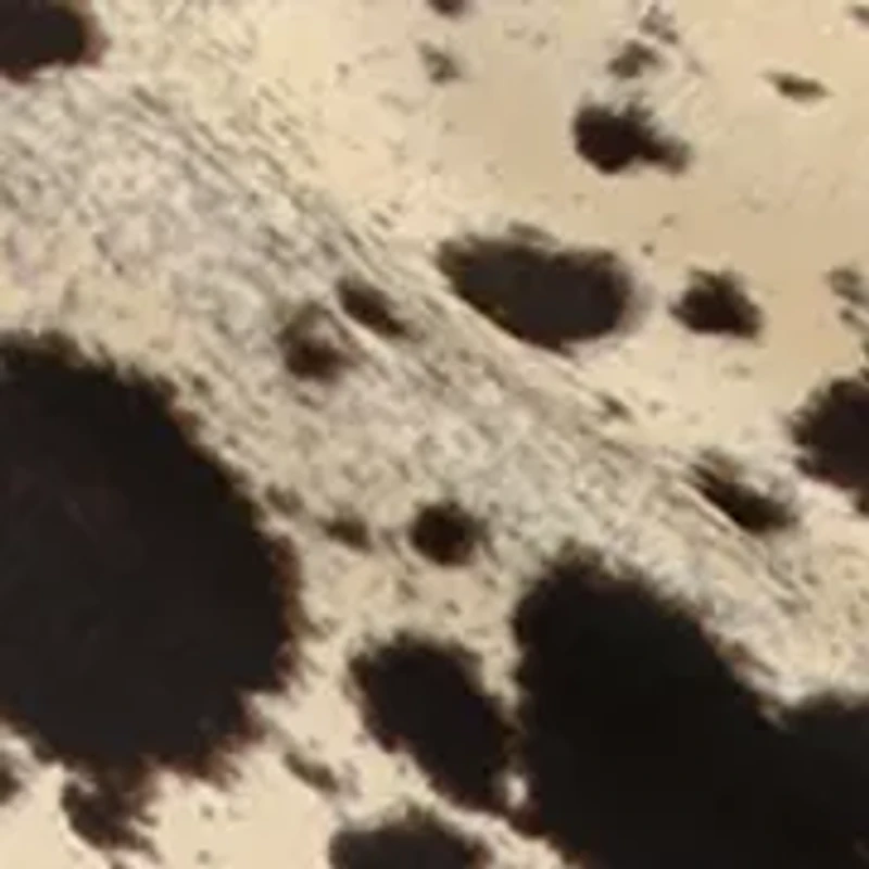 Women's Print Bias Midi Skirt