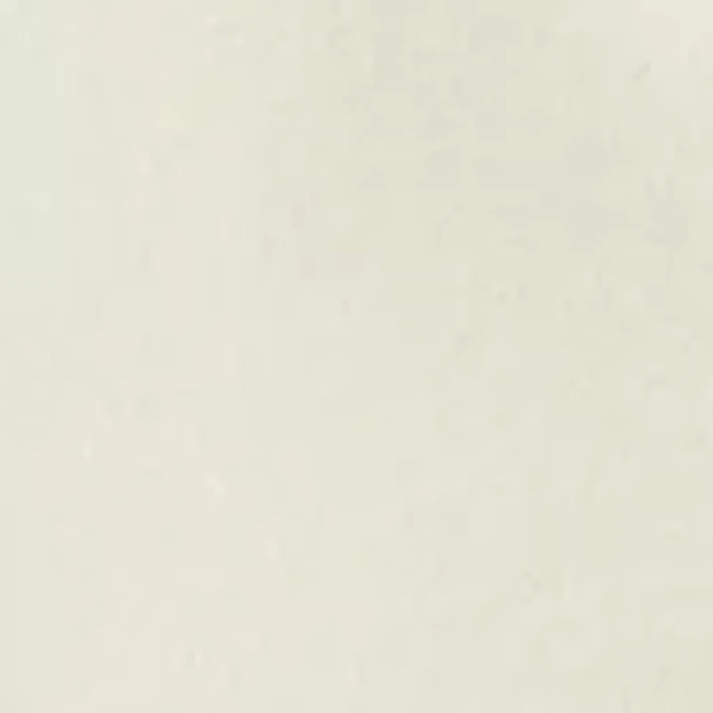 Women's Short Sleeve Faux Pearl Button Up Polo Shirt