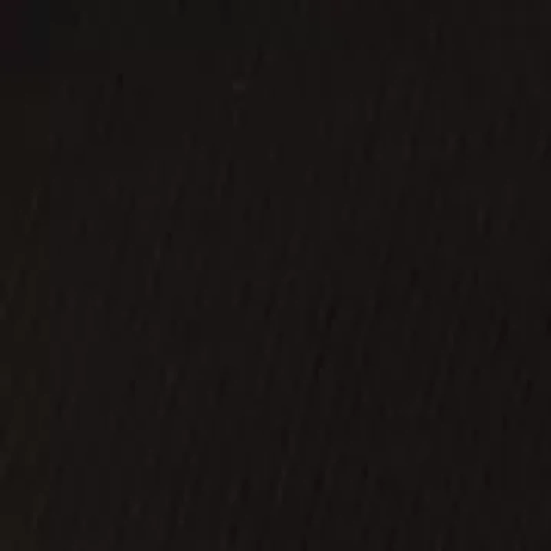 Women's Long Sleeve Collard Split Neck Ribbed Top