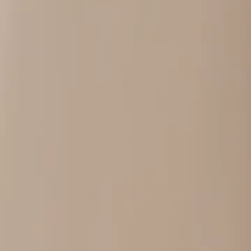 Women's Wide Leg Pleated Pants