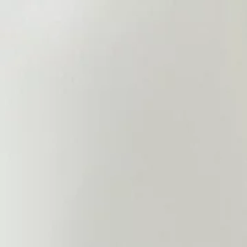 Women's Long Sleeve Button Down Shirt