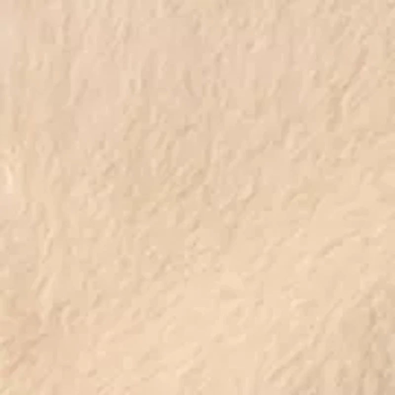 Women's Button Front Faux Fur Jacket